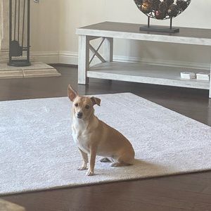 Meet your Posher, Miriam